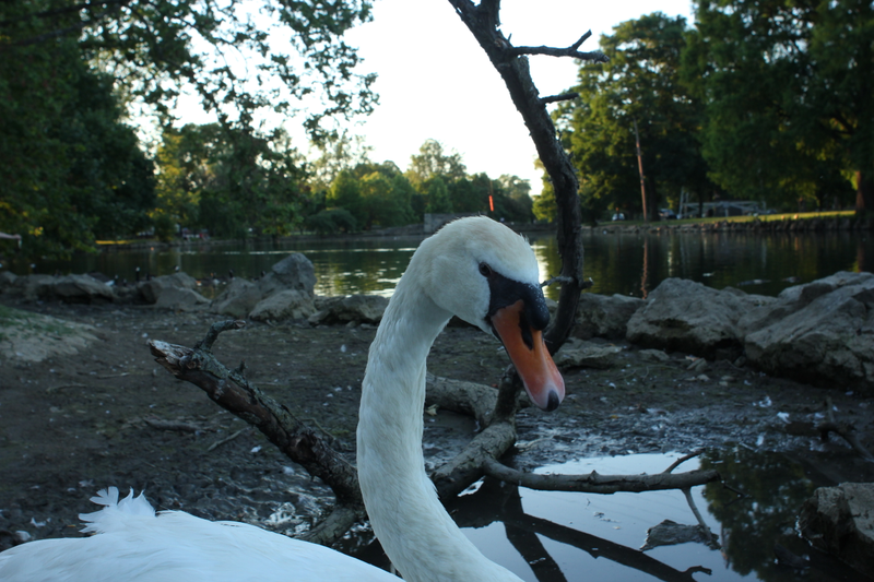 Also my wife’s shot with 24mm prime.